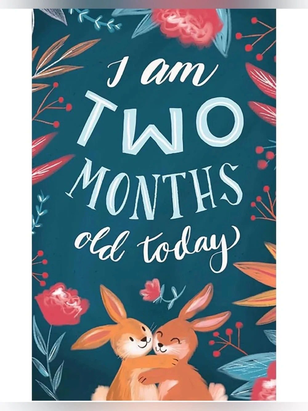 Baby Milestone Cards New Sealed 26 Photo Cards Woodland Animals Silver Dolphin
